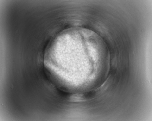 X0000088450179200706051313