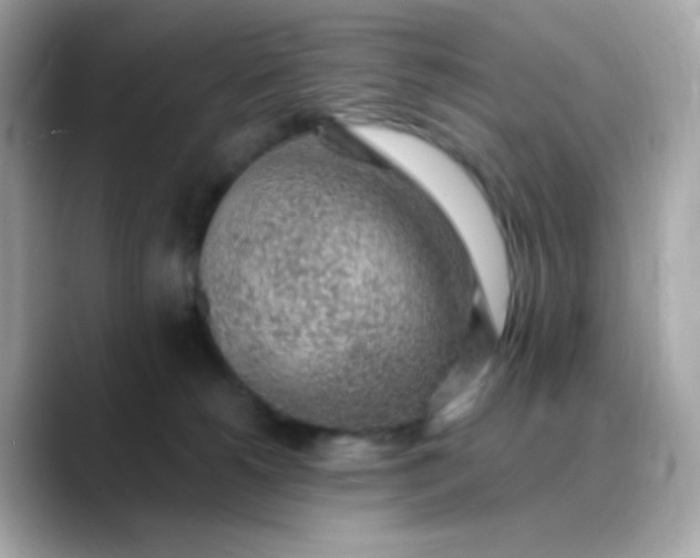 X0000088450180200706051313