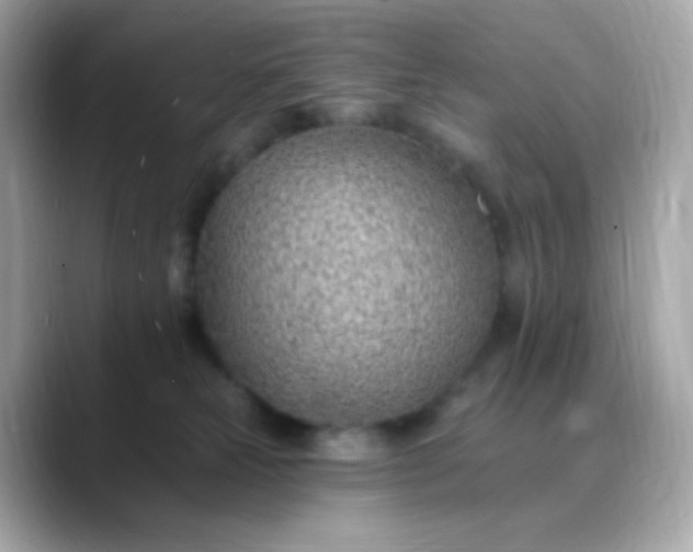X0000088450181200706051313
