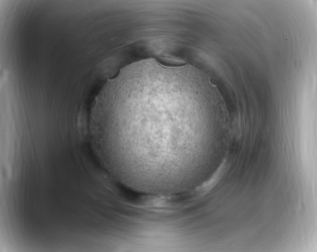 X0000088450182200706051313
