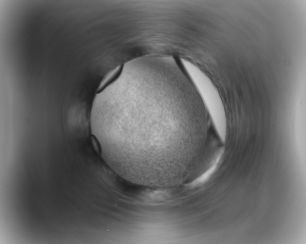 X0000088450186200706051313