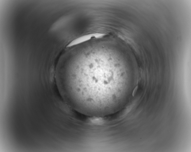 X0000088450189200706051313