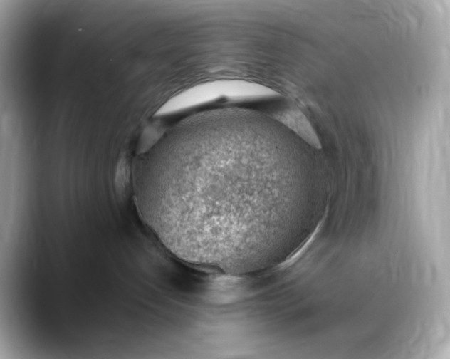 X0000088450192200706051313