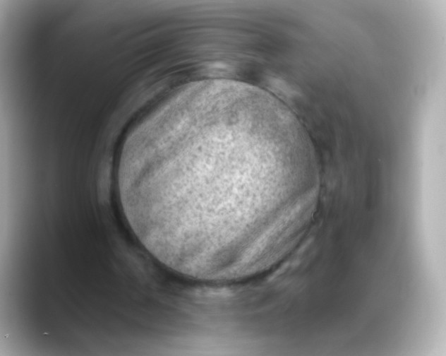 X0000088450194200706051312