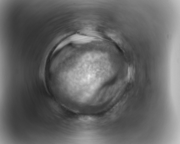 X0000088450195200706051312