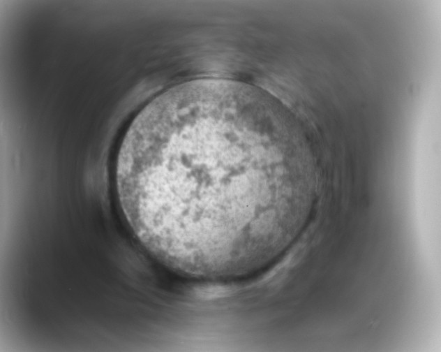 X0000088450198200706051312