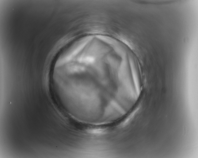 X0000088450199200706051312