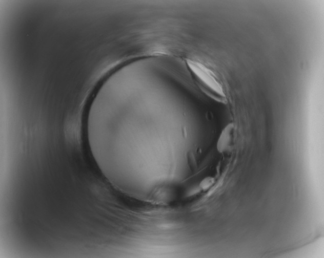 X0000088450200200706051312