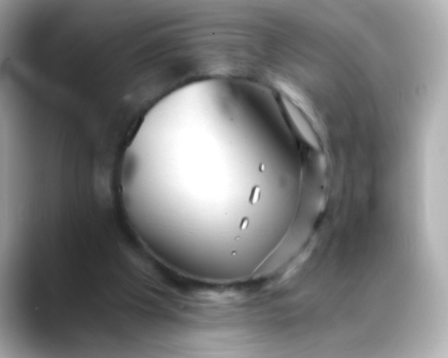 X0000088450201200706051312