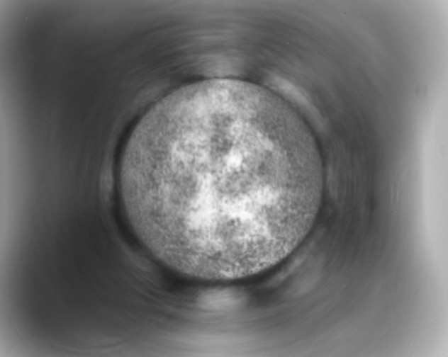 X0000088450202200706051312