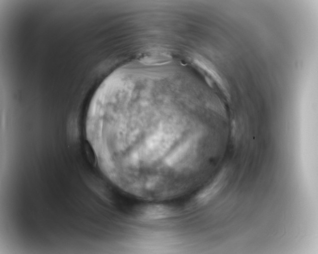 X0000088450203200706051312