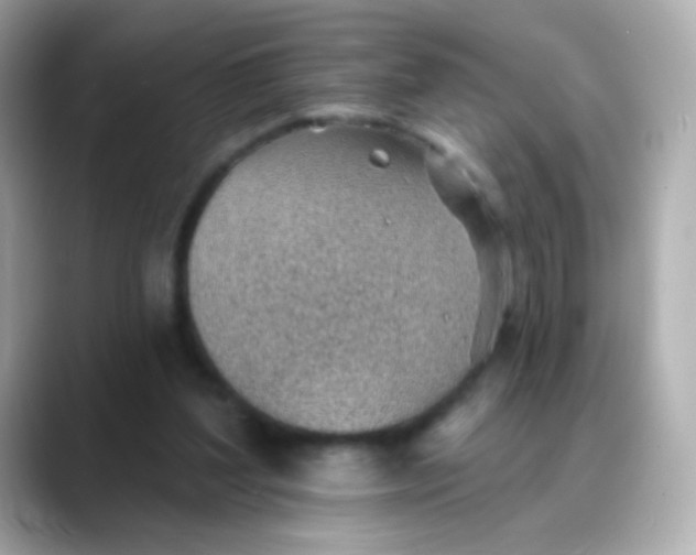 X0000088450204200706051312