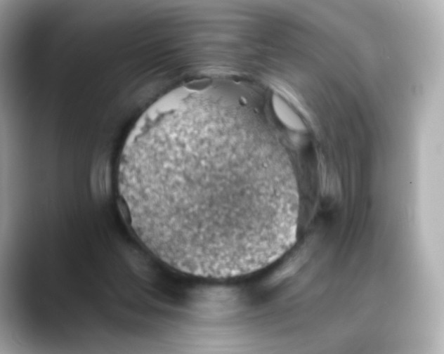 X0000088450205200706051312