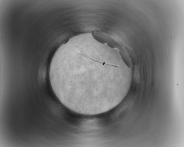 X0000088450206200706051312