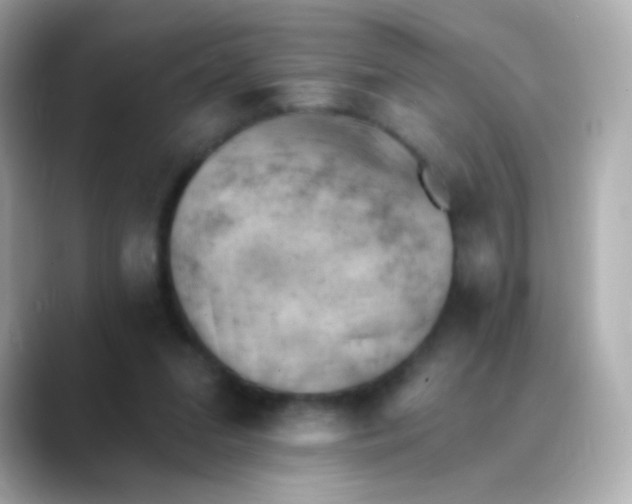 X0000088450207200706051312