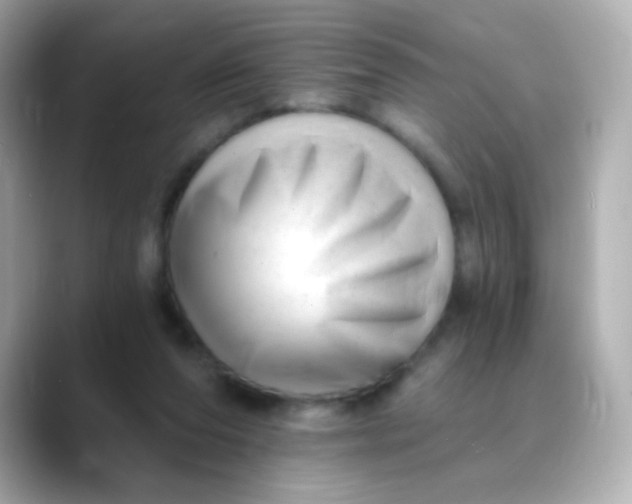 X0000088450208200706051312