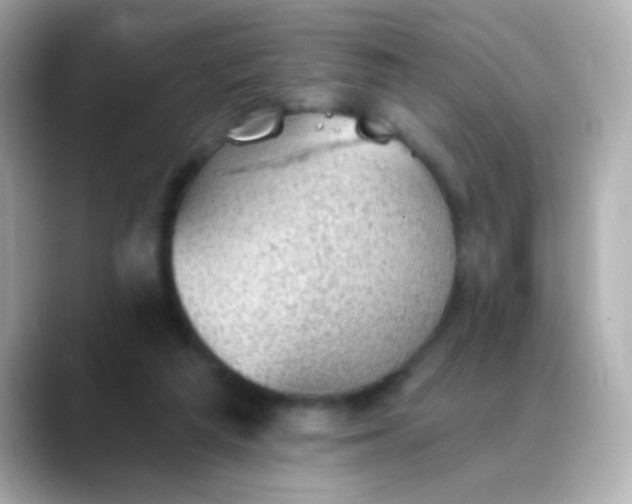 X0000088450209200706051312