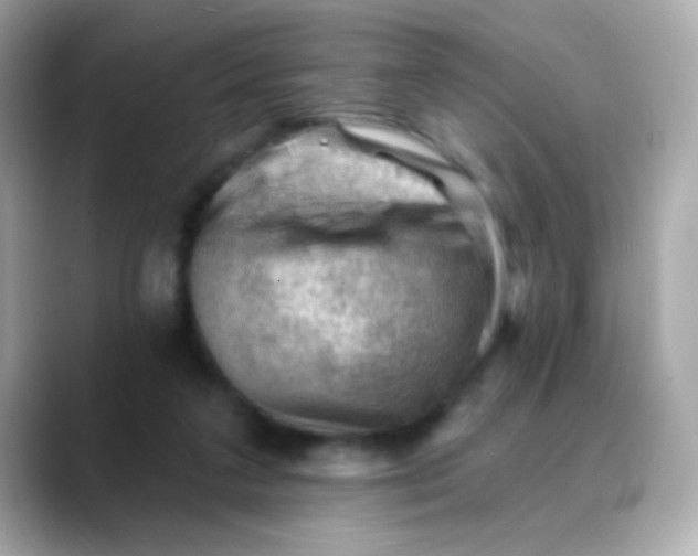X0000088450211200706051312