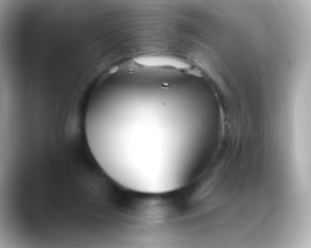 X0000088450212200706051312