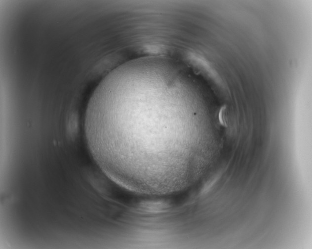 X0000088450213200706051312