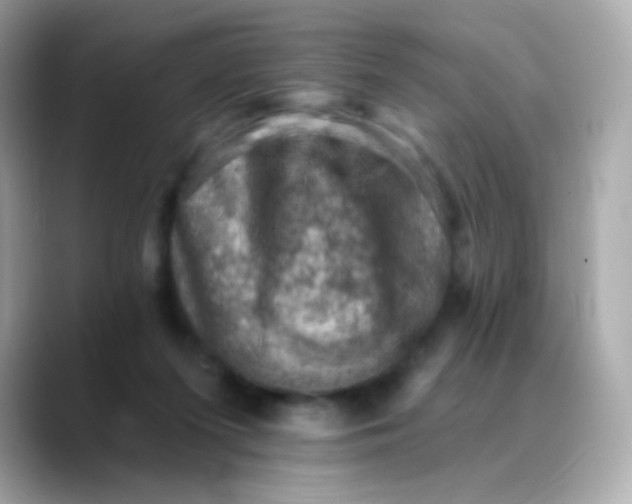X0000088450215200706051312