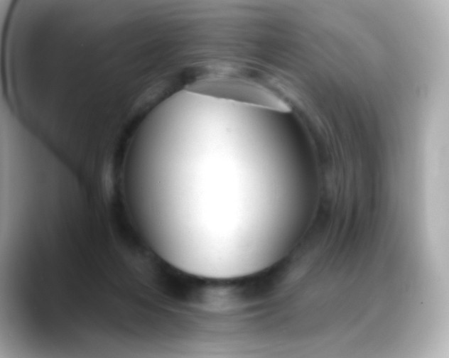 X0000088450216200706051312