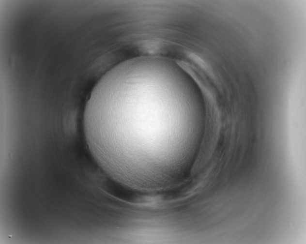X0000088450217200706051312