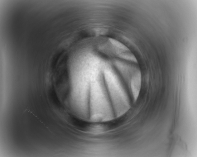 X0000088450218200706051312