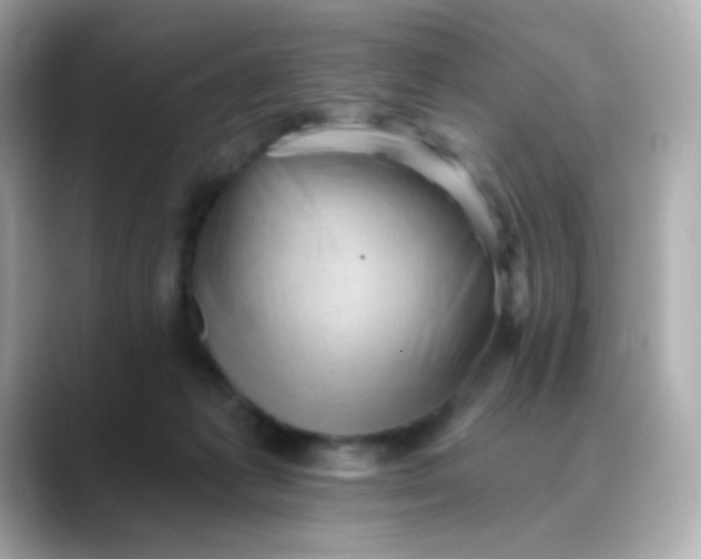 X0000088450221200706051312