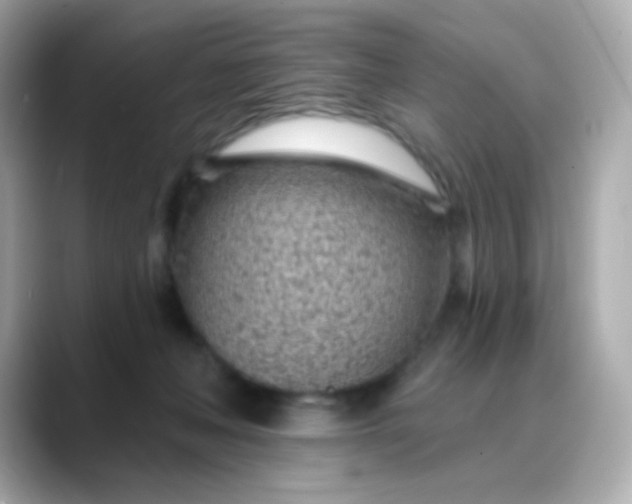X0000088450222200706051312
