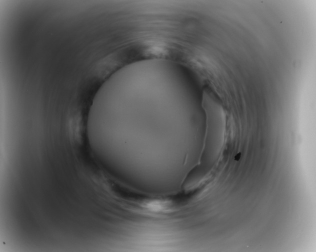 X0000088450223200706051312