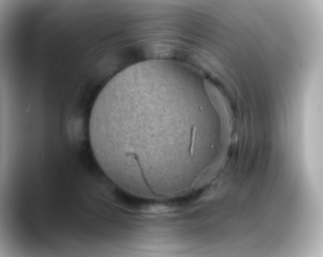 X0000088450224200706051312