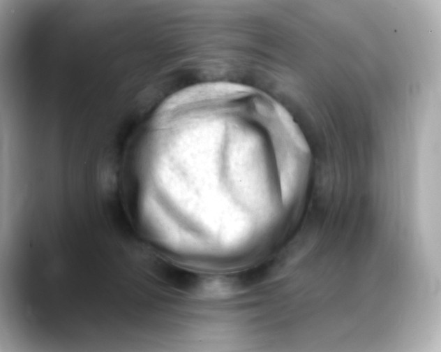 X0000088450226200706051312