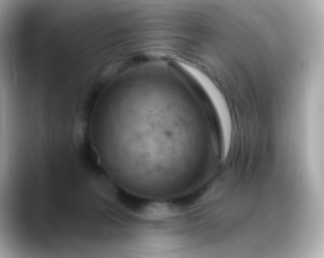 X0000088450227200706051312