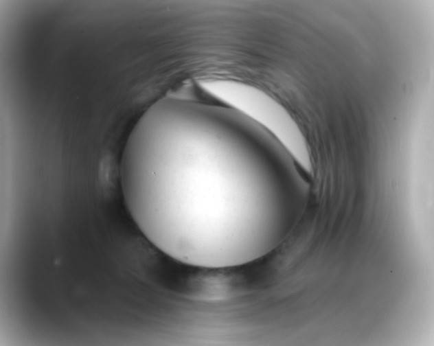 X0000088450228200706051312