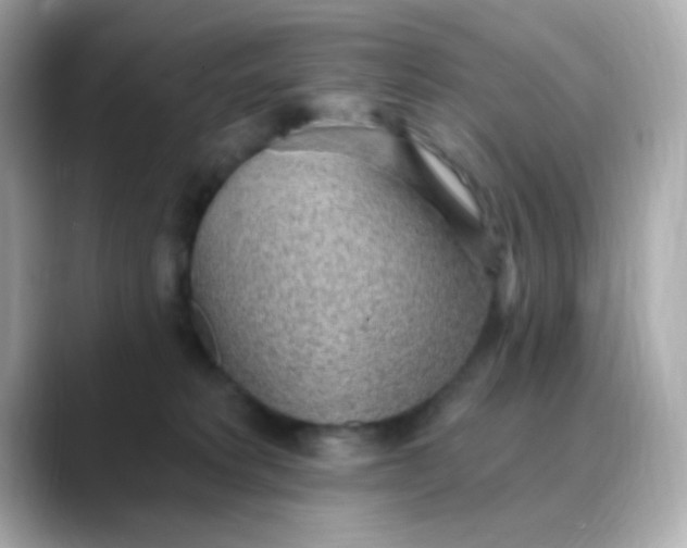 X0000088450229200706051312