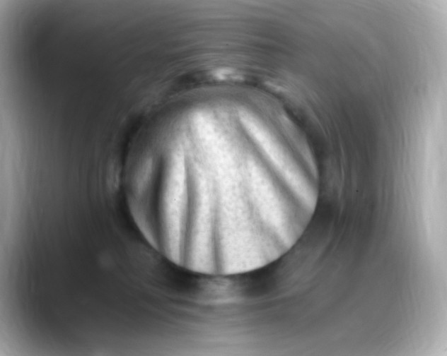 X0000088450230200706051312