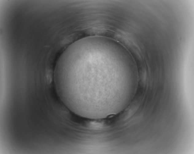X0000088450232200706051312