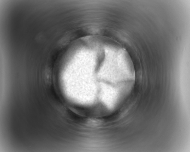 X0000088450234200706051312