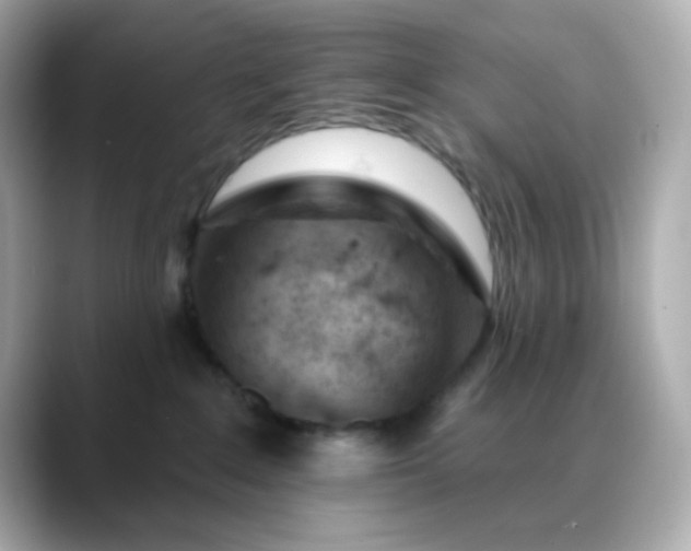 X0000088450235200706051312