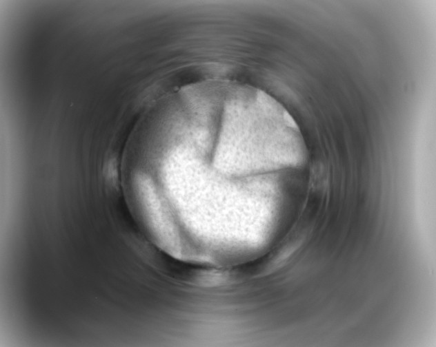 X0000088450238200706051312