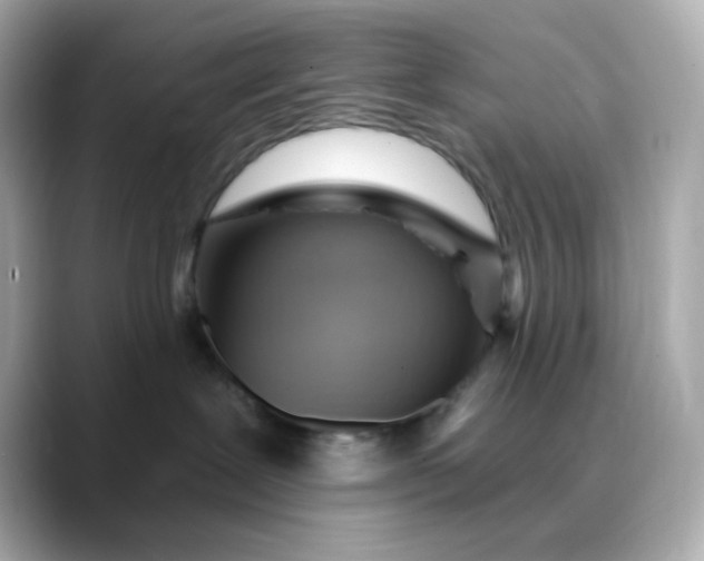 X0000088450239200706051312