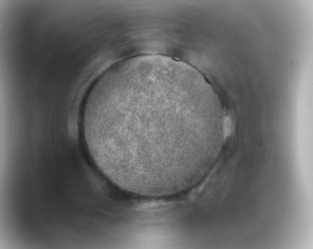 X0000088450243200706051311