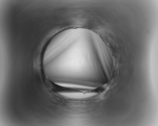 X0000088450244200706051311