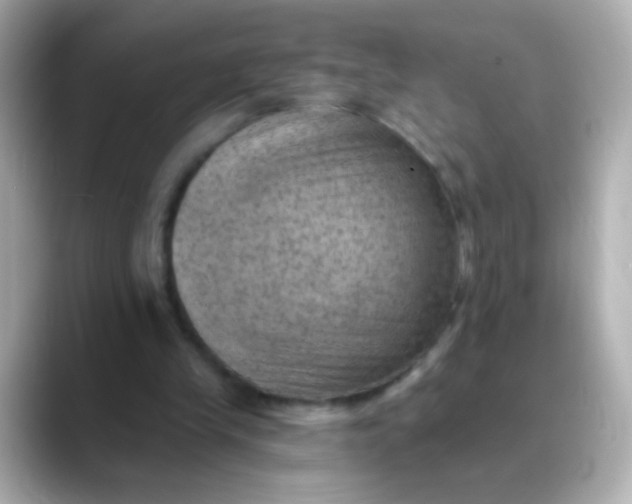 X0000088450245200706051311