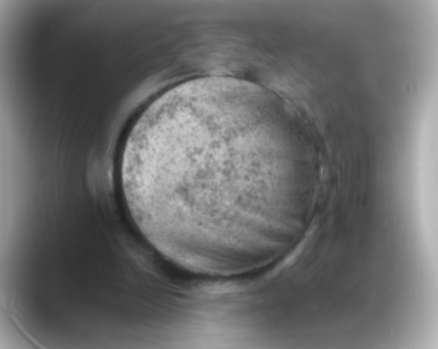 X0000088450246200706051311