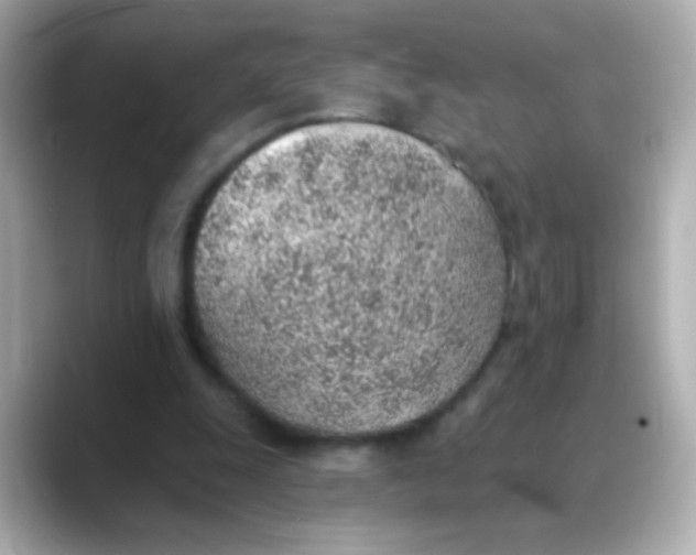 X0000088450247200706051311