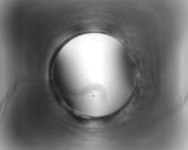 X0000088450248200706051311