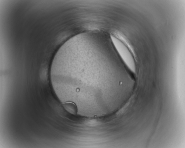 X0000088450249200706051311