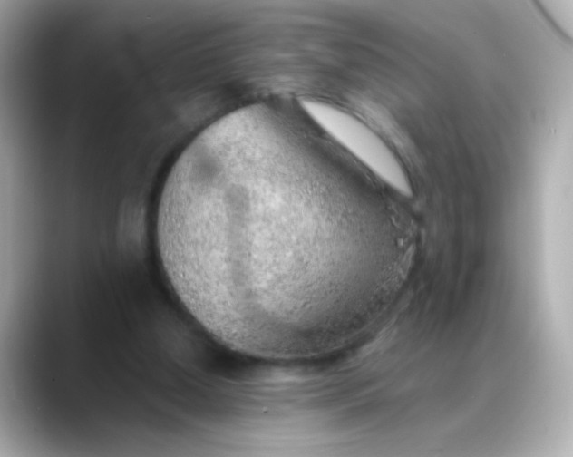 X0000088450250200706051311